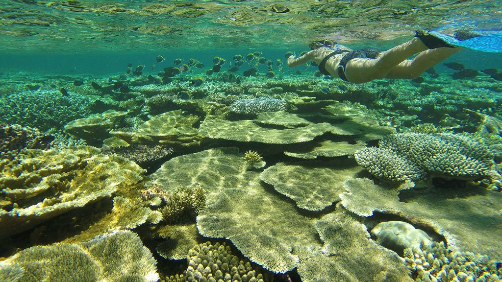 Natural Surf House Himmafushi Bagian luar foto